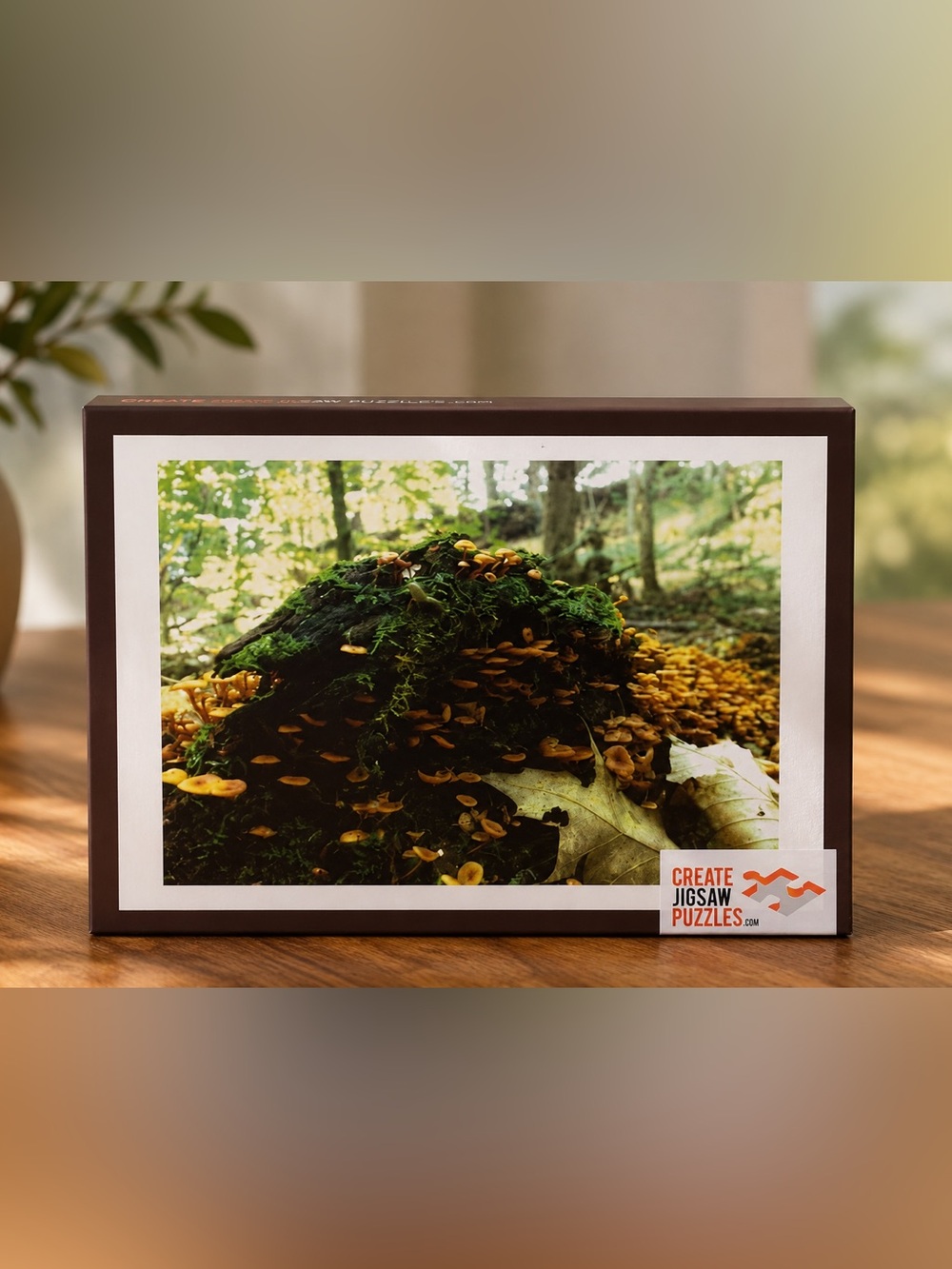 Jigsaw puzzle​​​​​